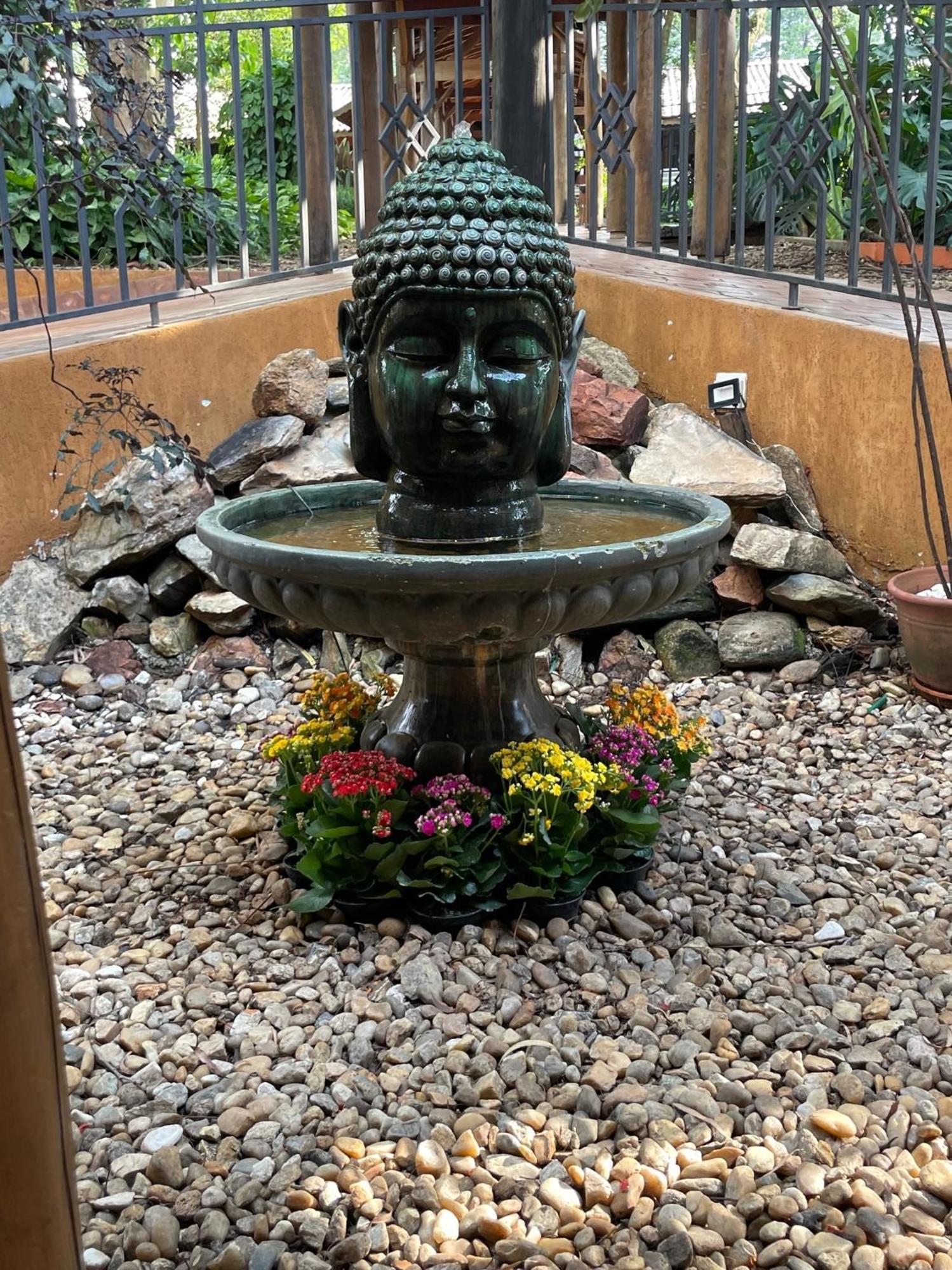 Hotel Fazenda Santa Monica 洛韦拉 外观 照片